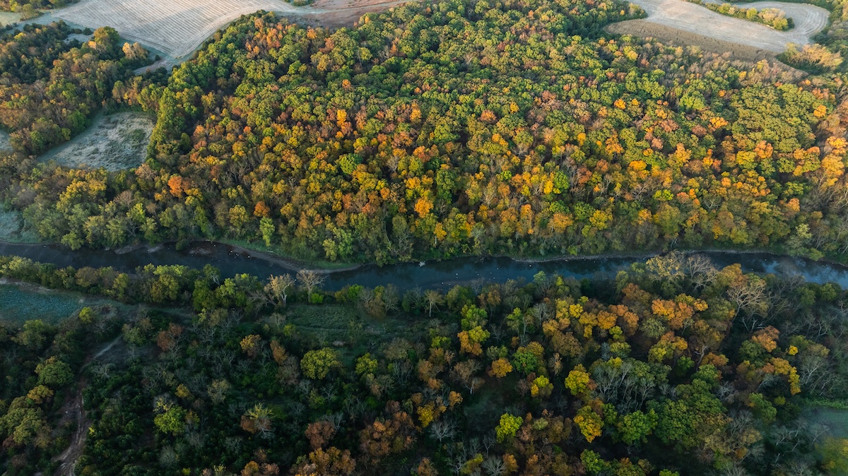 Small Farms for Sale in Illinois Under $200K: Opportunities for New Landowners